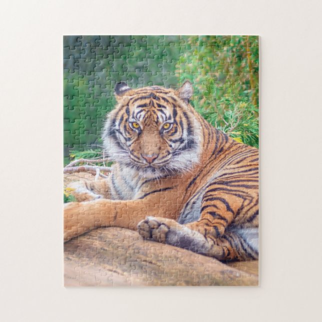 Puzzle Tigre reclinado relajado (Vertical)