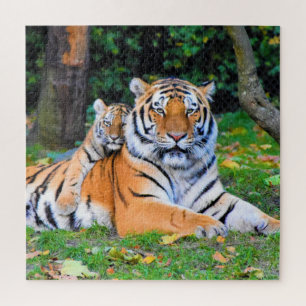 Puzzle Tigre y bebé posando bellamente juntos en el jardí