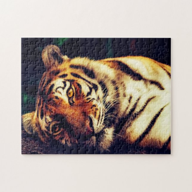 Puzzle Tigres Grandes Felinos. (Horizontal)