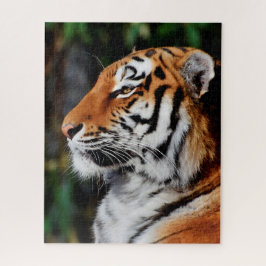 Puzzle Tigres grandes gatos.