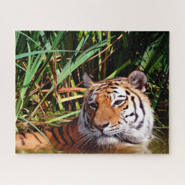 Puzzle Tigres grandes gatos.