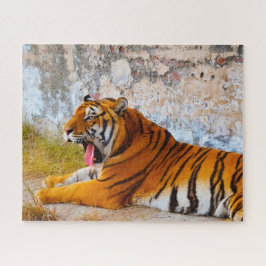 Puzzle Tigres grandes gatos.