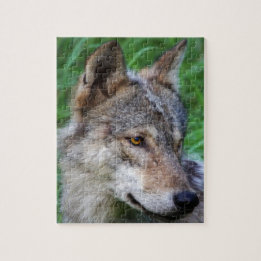 Puzzle Timber Wolf