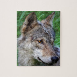 Puzzle Timber Wolf