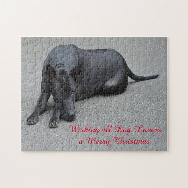 Puzzle Tiras de raquitismo tailandesas daban jigsaws. (Horizontal)