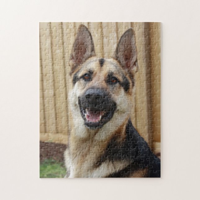Puzzle Tiro principal de GSD (Vertical)