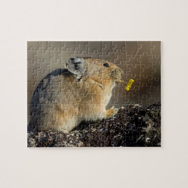 Puzzle Tocando la trompeta la salida del sol (Horizontal)