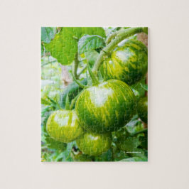 Puzzle Tomates de cebra verde en el vino
