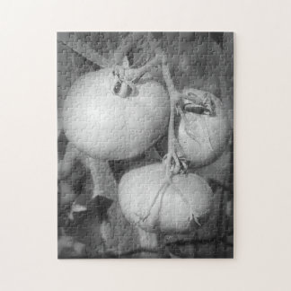 Puzzle Tomates De Naturaleza Blanca Y Negra