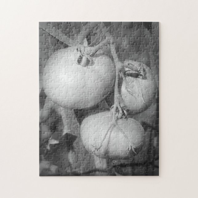 Puzzle Tomates De Naturaleza Blanca Y Negra (Vertical)
