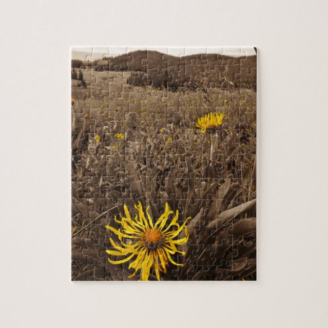 Puzzle Tono sepia Flores silvestres amarillas (Vertical)