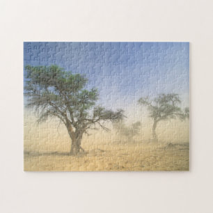 Puzzle Tormenta De Arena En El Desierto De Kalahari, Kgal