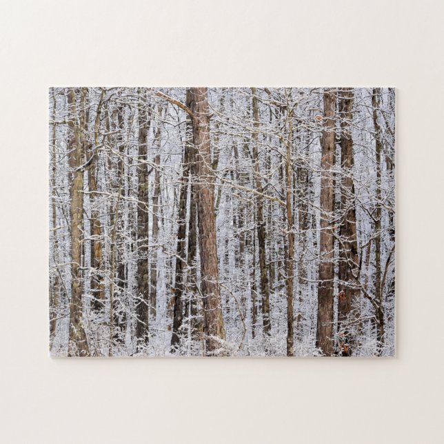Puzzle Tormenta de hielo de invierno en el bosque - 11x14 (Horizontal)