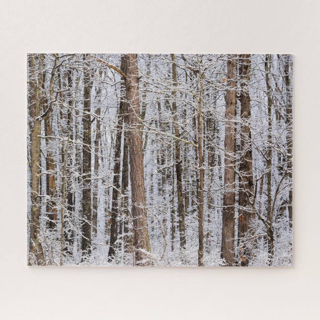 Puzzle Tormenta de hielo de invierno en el bosque - 16x20 (Horizontal)