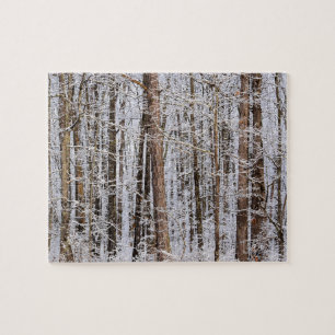 Puzzle Tormenta de hielo invernal en el bosque - 8x10 pul