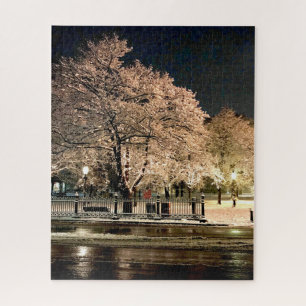 Puzzle Tormenta de nieve nocturna Salem Common Massachuse
