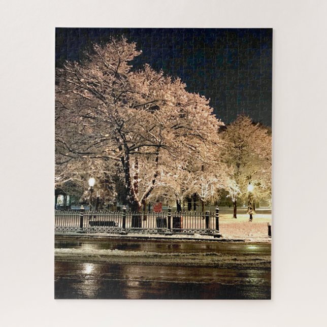 Puzzle Tormenta de nieve nocturna Salem Common Massachuse (Vertical)