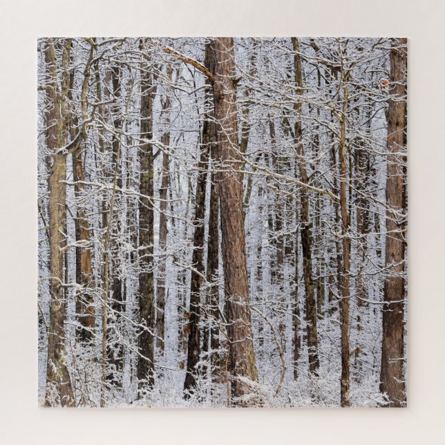 Puzzle Tormenta helada de invierno en el bosque - 20x20 p (Vertical)