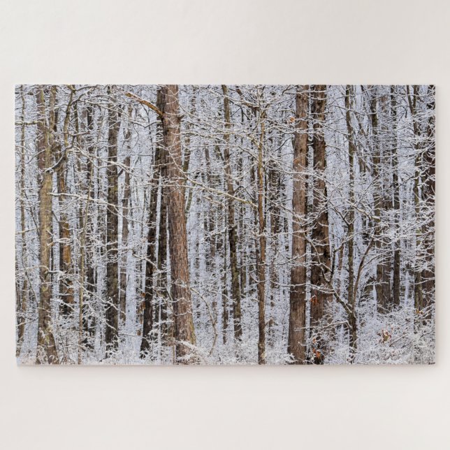 Puzzle Tormenta helada de invierno en el bosque - 20x30 p (Horizontal)