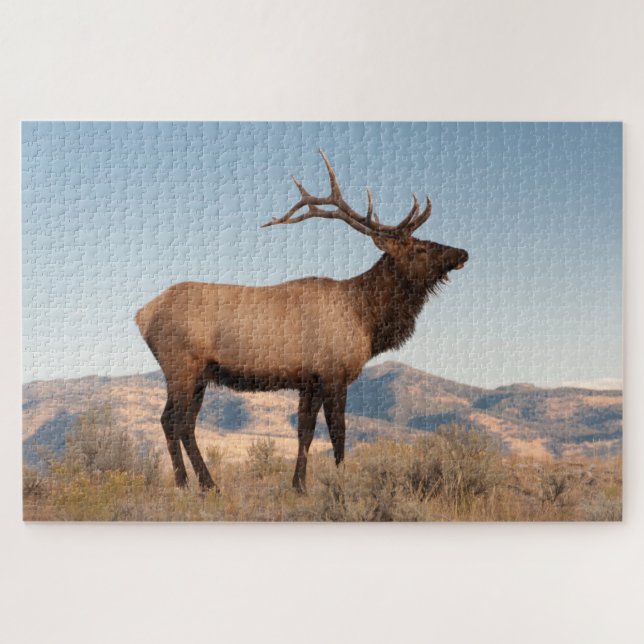 Puzzle Toro Elk Cerca De Mammoth | Wyoming (Horizontal)