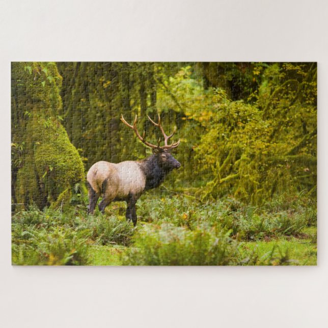 Puzzle Toro Elk Roosevelt de pie en pradera (Horizontal)