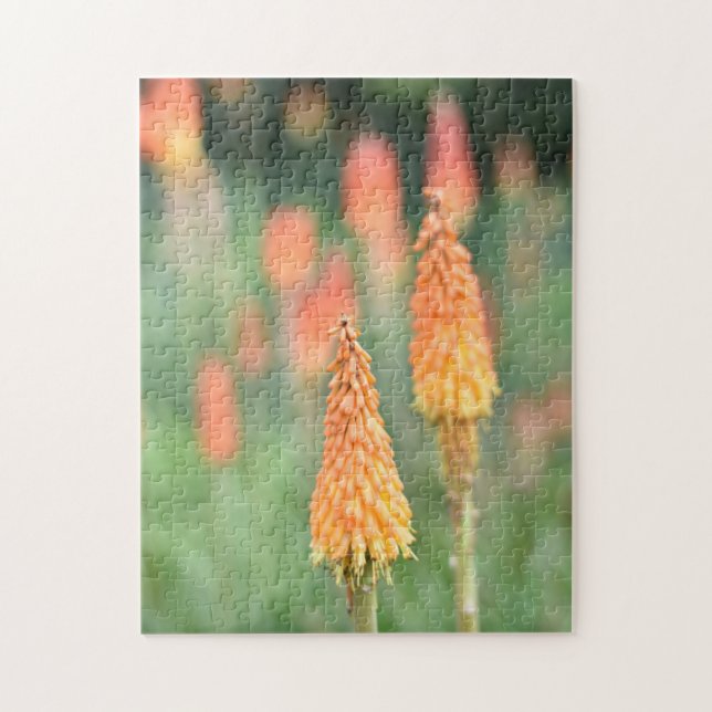 Puzzle Torsión Lily Red Hot Poker Flor Fotografía de la N (Vertical)