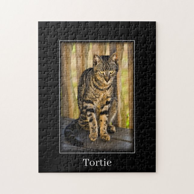 Puzzle Tortie - Tortoiseshell Cat - Mascota Photography (Vertical)