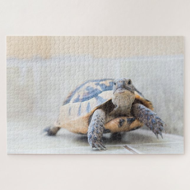 Puzzle Tortoise (Horizontal)