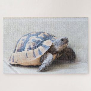 Puzzle Tortoise