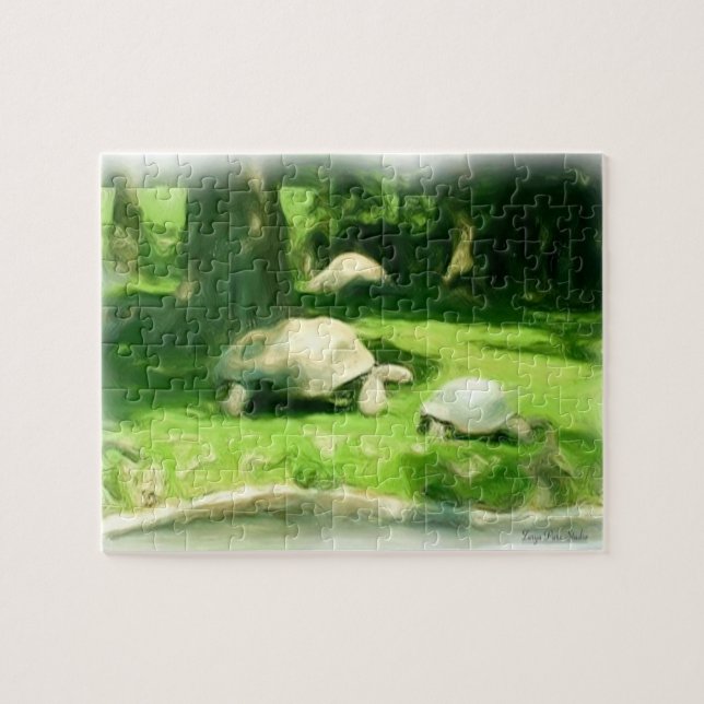 Puzzle Tortoise Race (Horizontal)