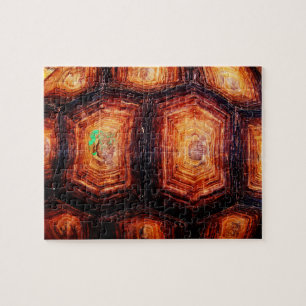 Puzzle Tortoisse