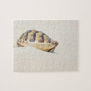 Puzzle Tortuga