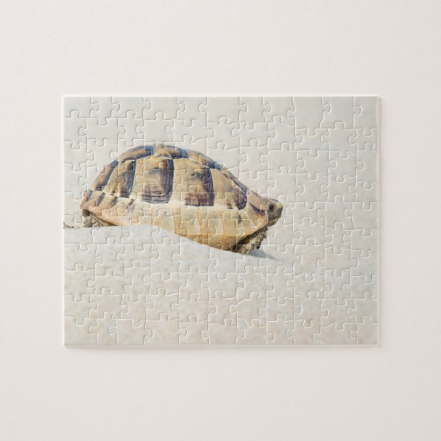 Puzzle Tortuga (Horizontal)