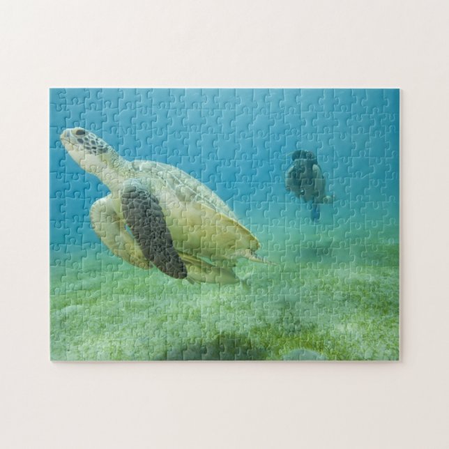Puzzle Tortuga (Horizontal)