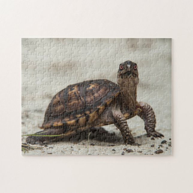 Puzzle Tortuga común (Horizontal)