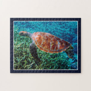 Puzzle Tortuga Criatura Marina Vida Silvestre Oceánica