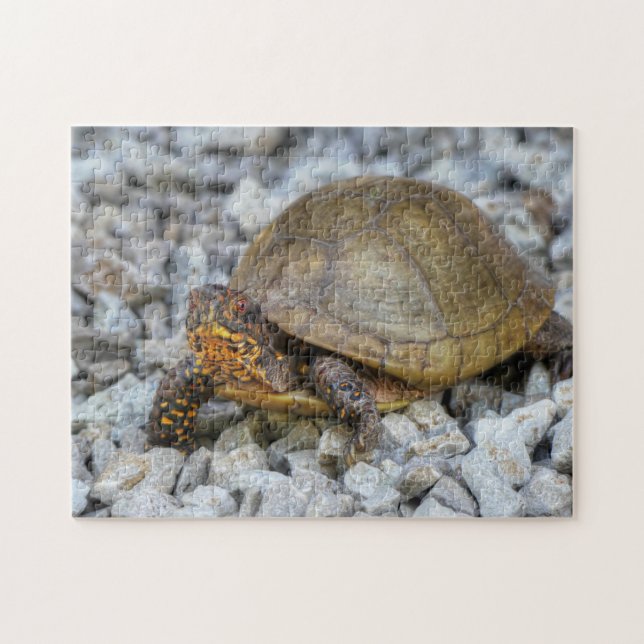 Puzzle Tortuga de caja (Horizontal)