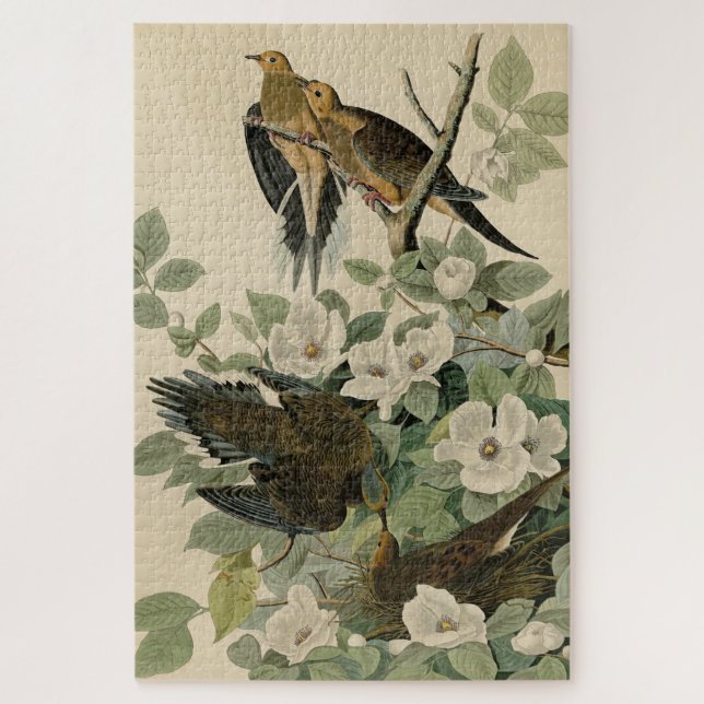 Puzzle Tortuga de Carolina llora por los pájaros de Audub (Vertical)