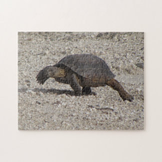 Puzzle Tortuga de desierto