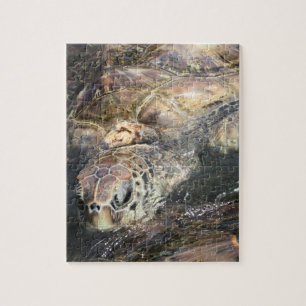 Puzzle Tortuga de mar adulta