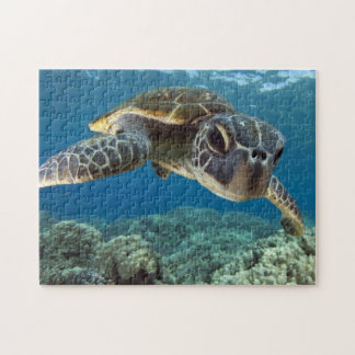 Puzzle Tortuga de mar verde hawaiana
