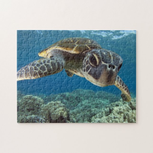 Puzzle Tortuga de mar verde hawaiana (Horizontal)