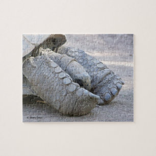 Puzzle Tortuga de Sulcata