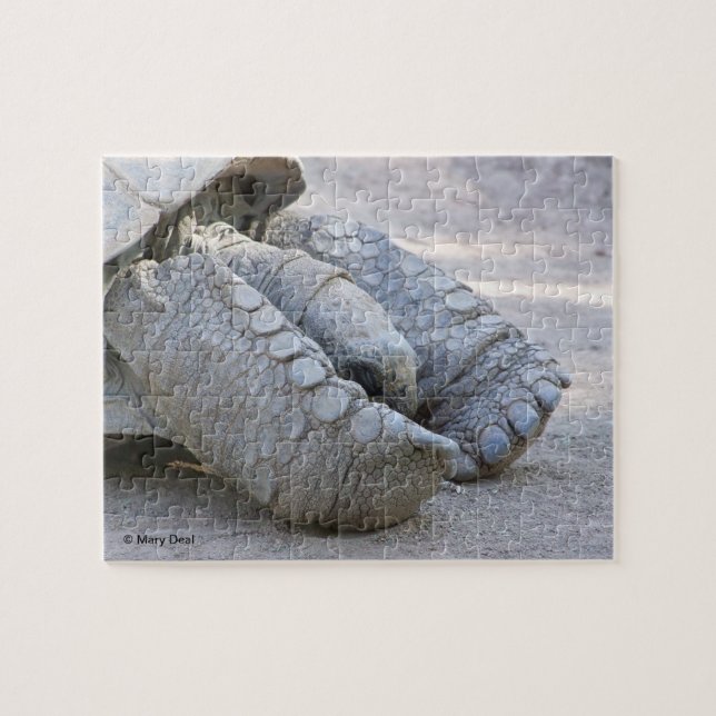 Puzzle Tortuga de Sulcata (Horizontal)