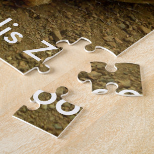 Puzzle Tortuga en el zoológico de Indianápolis