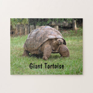 Puzzle Tortuga gigante