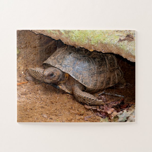 Puzzle Tortuga Gopher (Horizontal)
