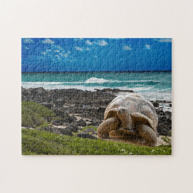 Puzzle Tortuga grande en el borde del mar (Horizontal)