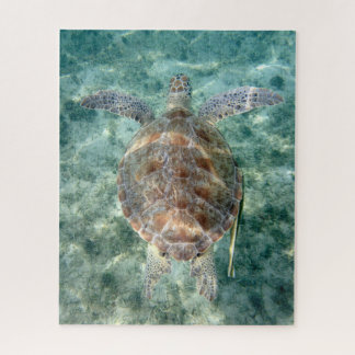Puzzle Tortuga marina