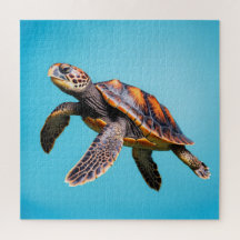 Tortuga Marina Colorida Nadando Bajo el Agua